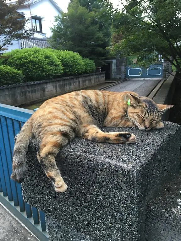 Nest Inn Nippori Tokio Pensjonat